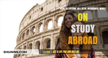 Extending Jill Blue Insurance for Study Abroad: A Comprehensive Guide