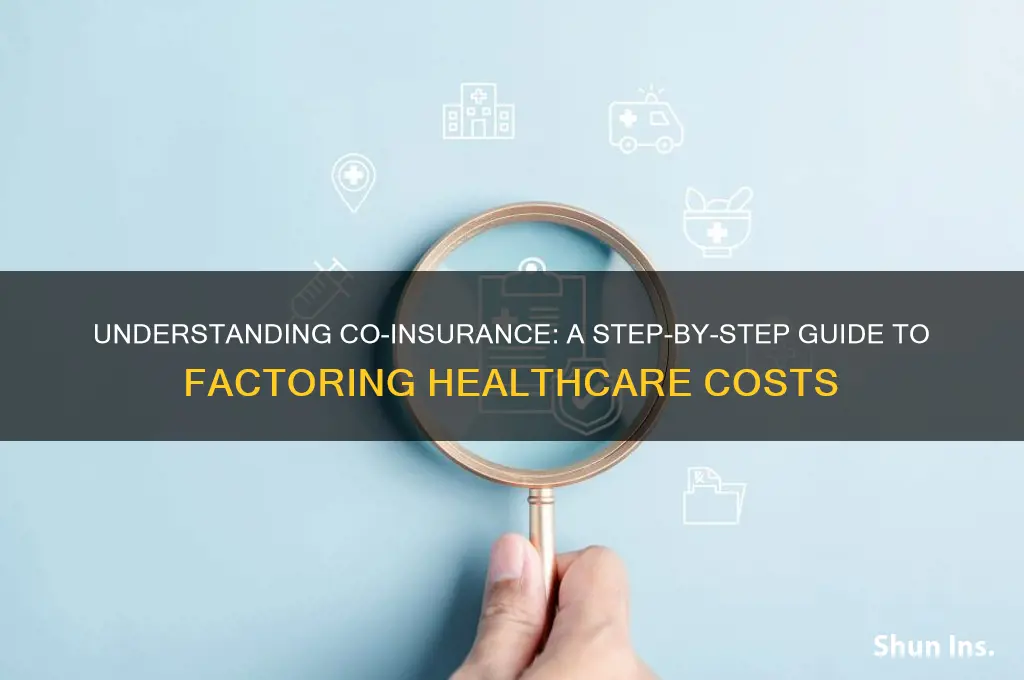 how to factor co-insurance healthcare