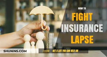 Preventing Insurance Lapse: Essential Tips to Maintain Continuous Coverage