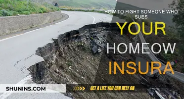 Strategies to Combat Homeowners Insurance Liability Claims