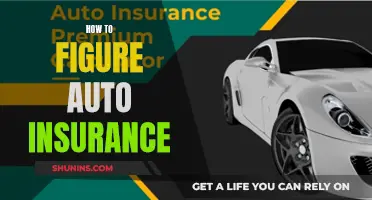 Understanding Auto Insurance: What You Need to Know