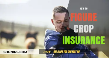 Understanding Crop Insurance: A Step-by-Step Guide for Farmers
