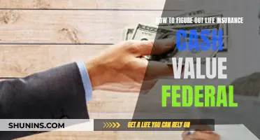 Understanding Life Insurance Cash Value for Federal Taxes