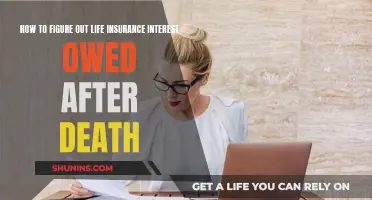 Understanding Life Insurance Interest After Death