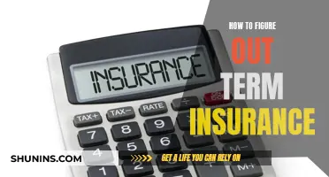 Unraveling the Mystery of Term Insurance: A Step-by-Step Guide to Navigating Your Options