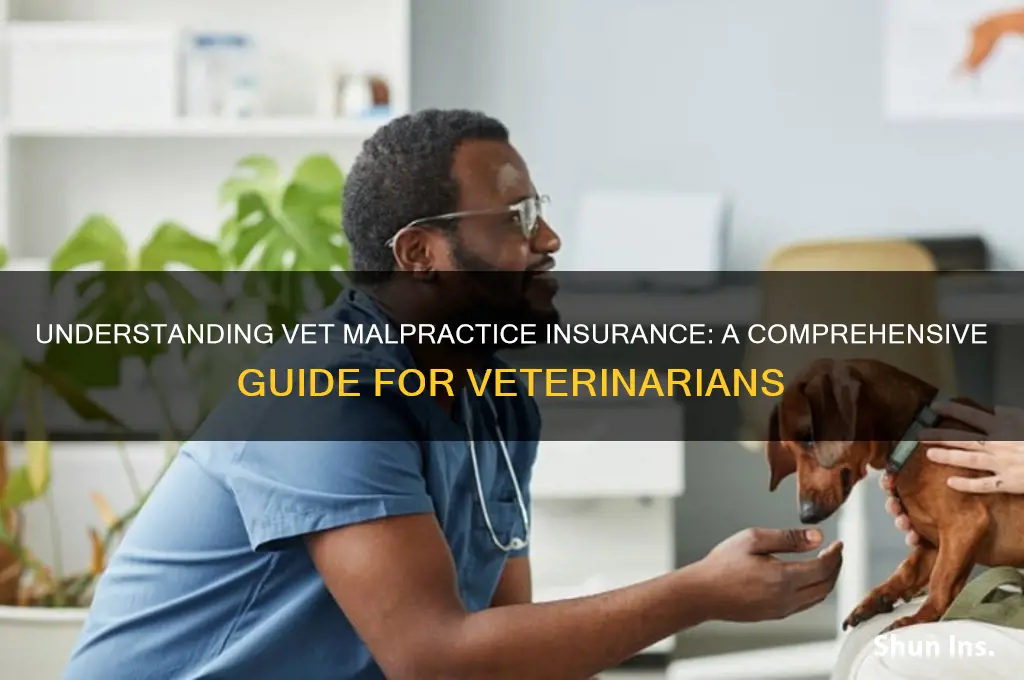 how to figure out vet malpractice insurance