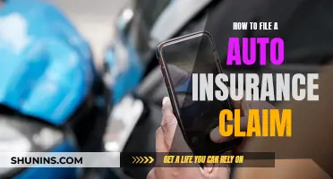 Filing an Auto Insurance Claim: A Step-by-Step Guide