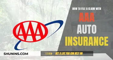 Filing an Auto Insurance Claim with AAA: A Step-by-Step Guide