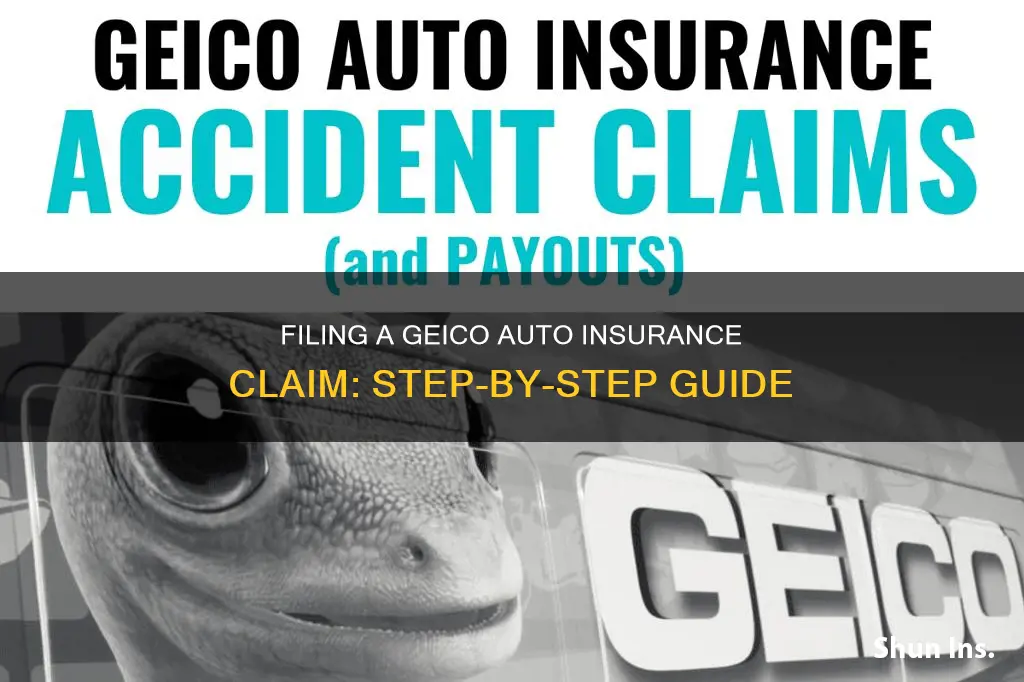 how to file a claim with geico auto insurance