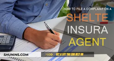 Shelter Insurance Agent Complaint: What You Need to Know