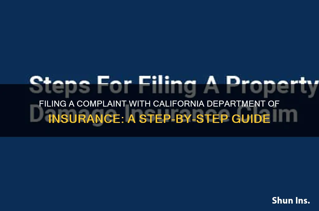 how to file a complaint with california department of insurance