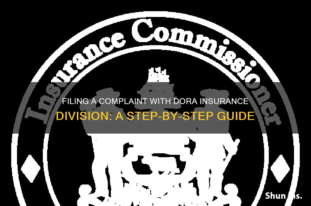 how to file a complaint with dora insurance division