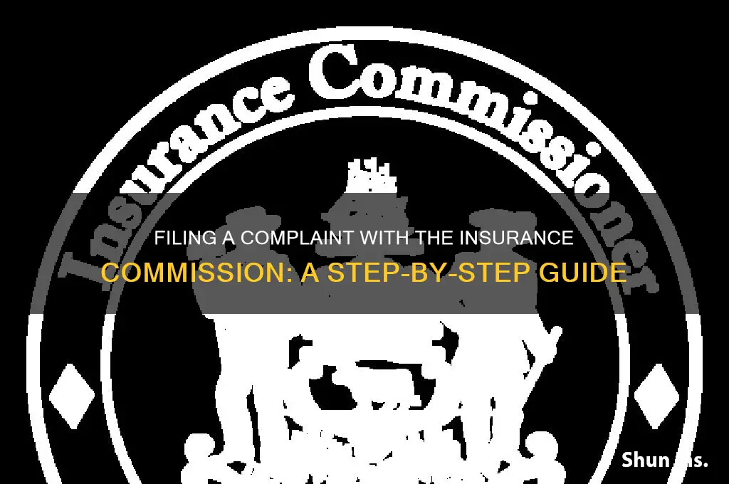 how to file a complaint with insurance commission