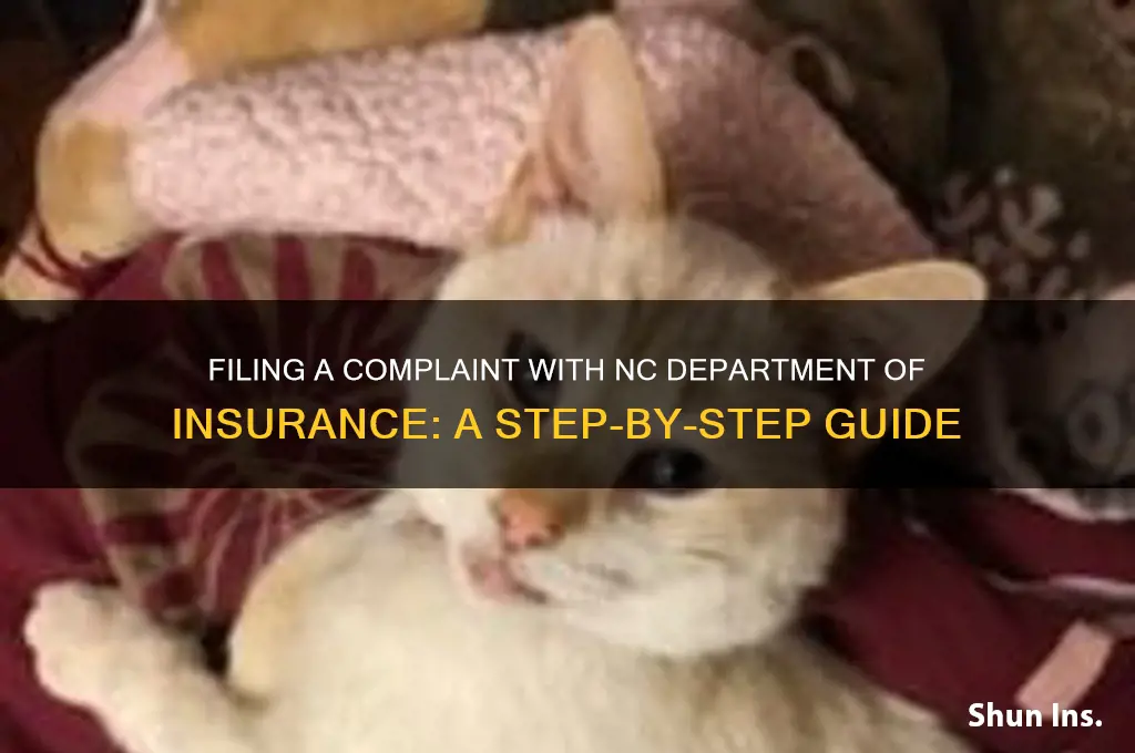 how to file a complaint with nc department of insurance