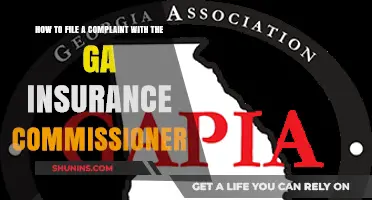 Filing a Complaint with Georgia's Insurance Commissioner: A Step-by-Step Guide