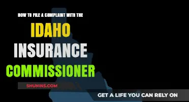Filing a Complaint with Idaho's Insurance Commissioner: A Step-by-Step Guide
