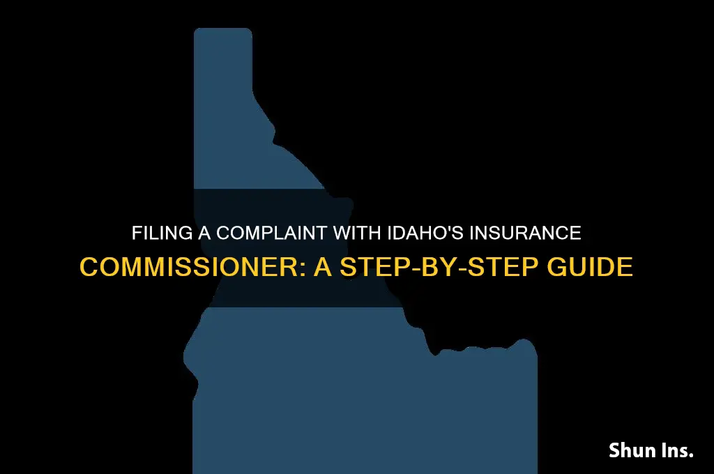 how to file a complaint with the idaho insurance commissioner