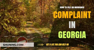 Filing an Insurance Complaint in Georgia: A Step-by-Step Guide