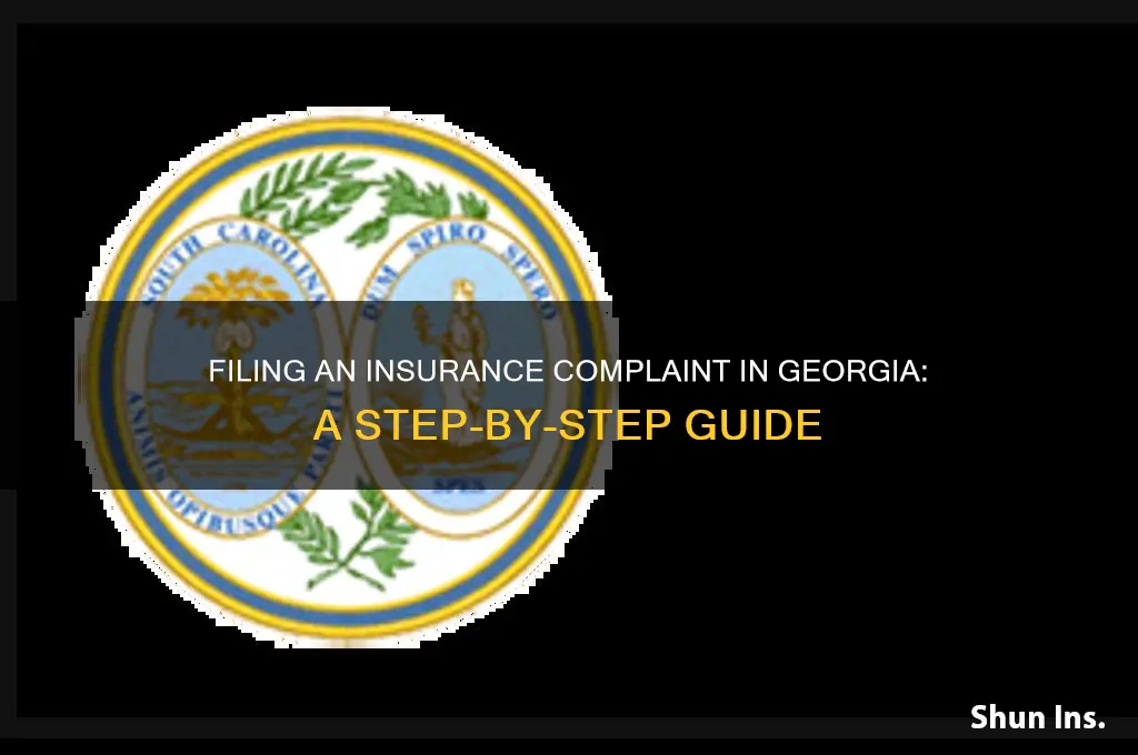how to file an insurance complaint in georgia