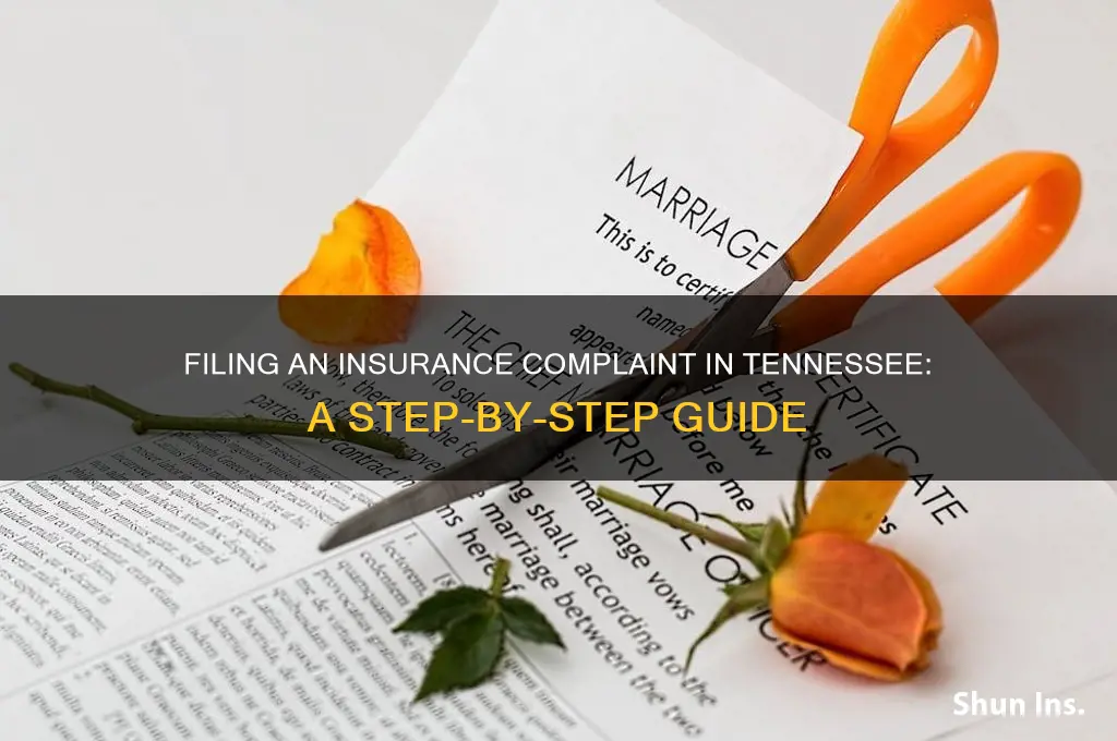 how to file an insurance complaint in tennessee