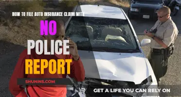 Filing an Auto Insurance Claim Without a Police Report