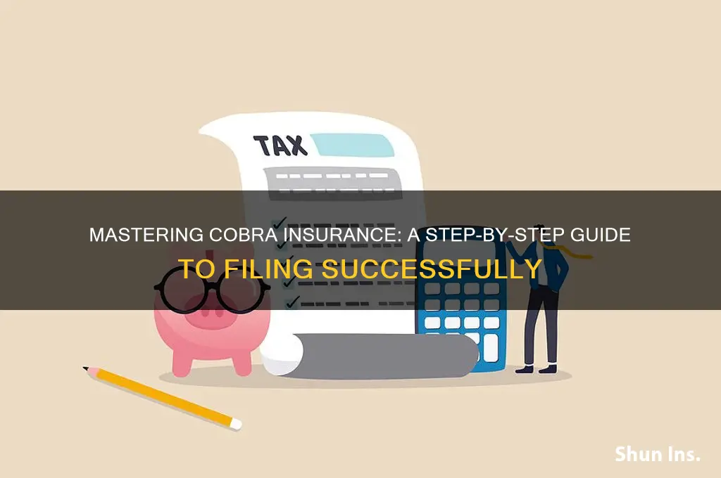 how to file cobra insurance
