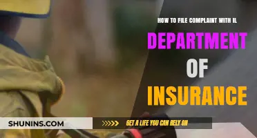 Filing a Complaint with Illinois Department of Insurance: A Step-by-Step Guide
