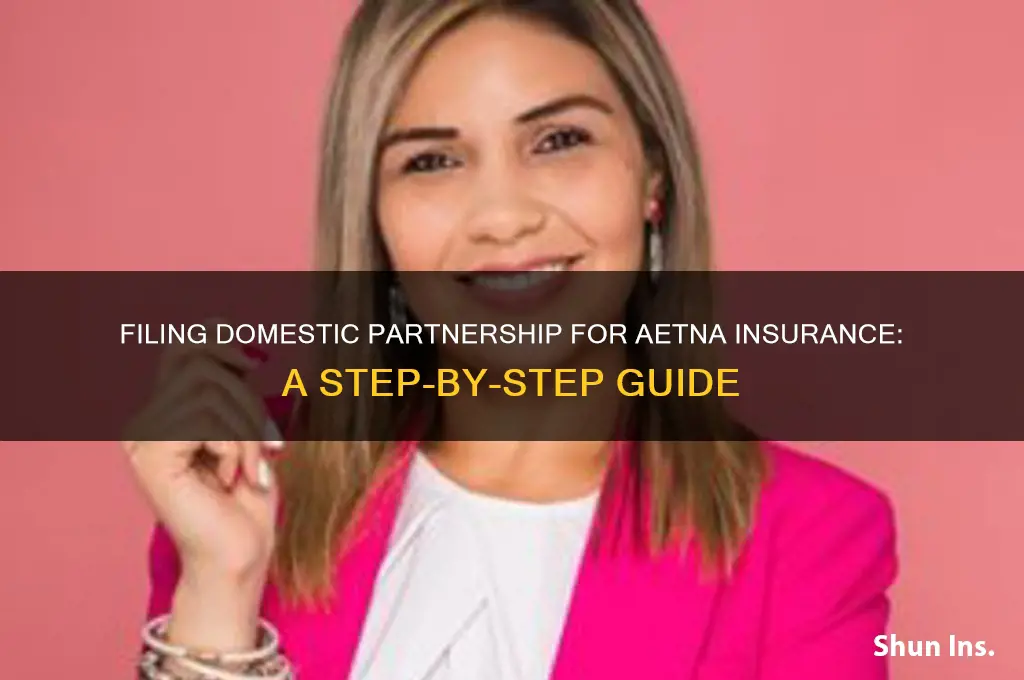 how to file domestic partnership for aetna insurance