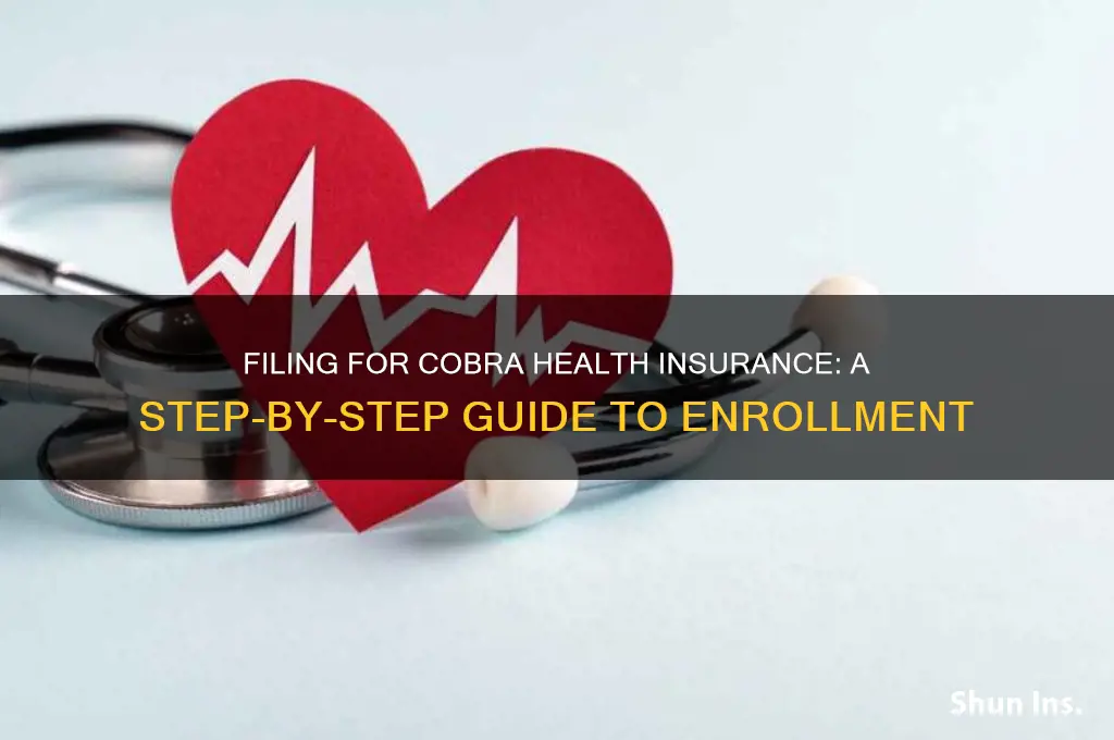 how to file for cobra health insurance
