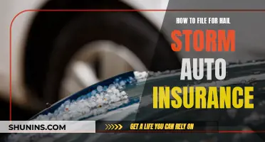 Auto Hail Damage: Filing an Insurance Claim