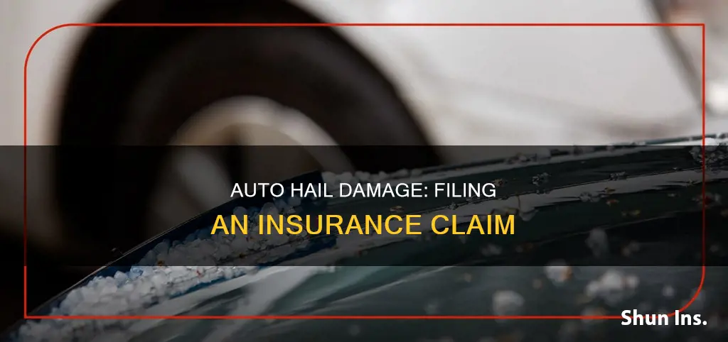 how to file for hail storm auto insurance