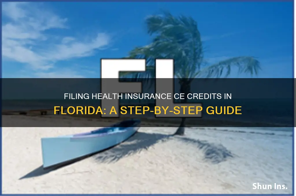 how to file health insurance continuing education credits in florida