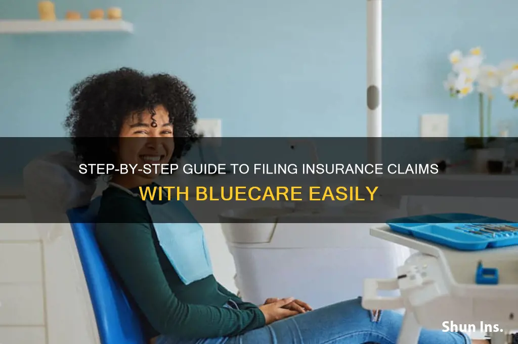 how to file insurance on bluecare
