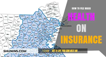 Filing MassHealth on Insurance: A Step-by-Step Guide for Applicants