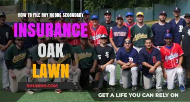 Filing Roy Hobbs Secondary Insurance in Oak Lawn: A Step-by-Step Guide