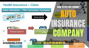 Auto Insurance Claims: Your Right to File a Lawsuit