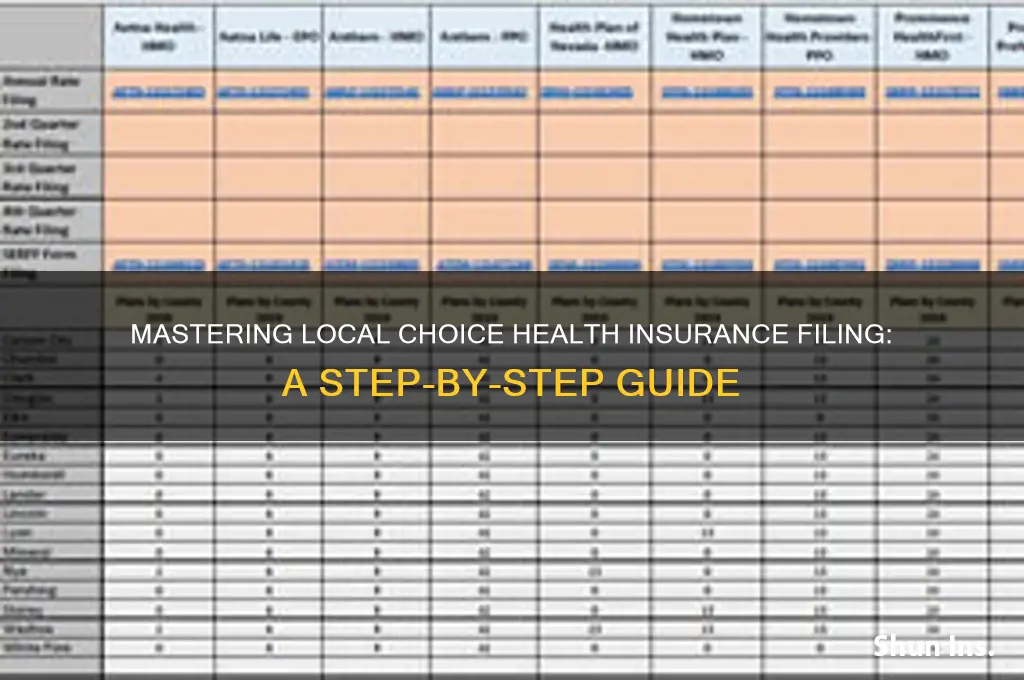 how to file the local choice health insurance
