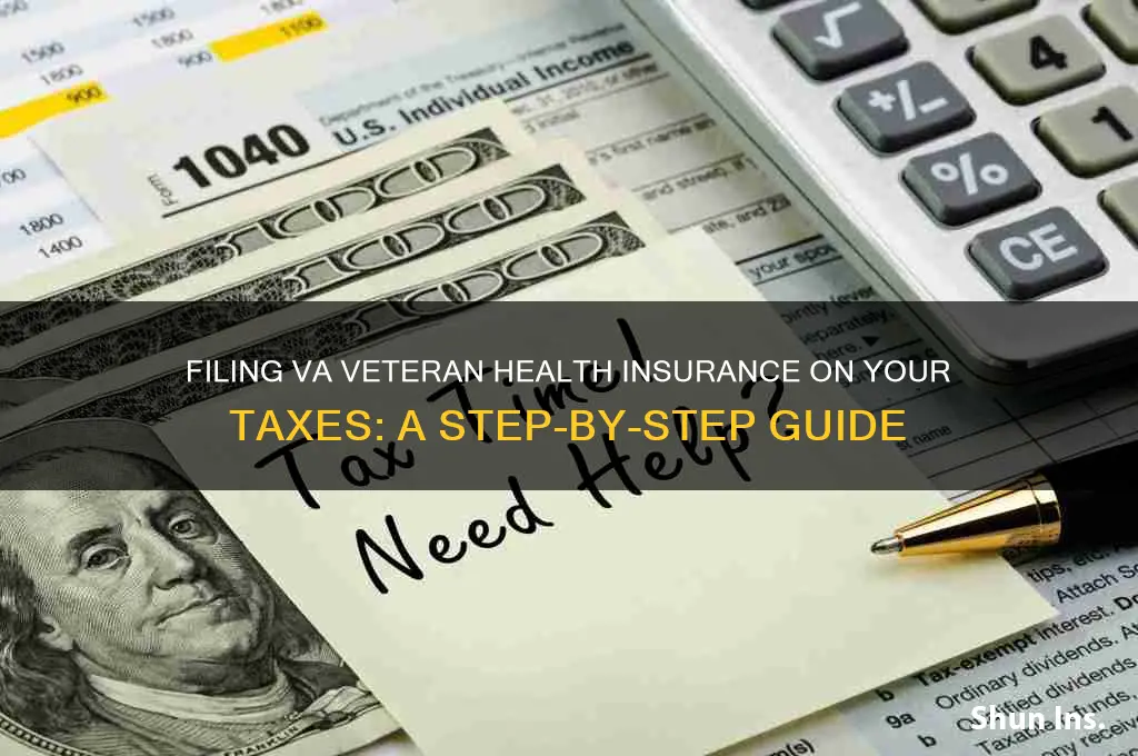 how to file va veteran health insurance on my taxes