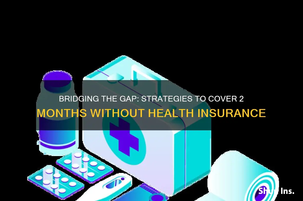 how to fill 2 month gap in health insurance