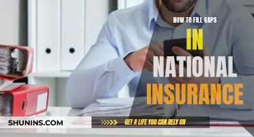 Maximizing National Insurance: Filling Gaps, Securing Benefits