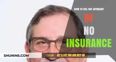 Step-by-Step Guide to Completing an Affidavit of No Insurance