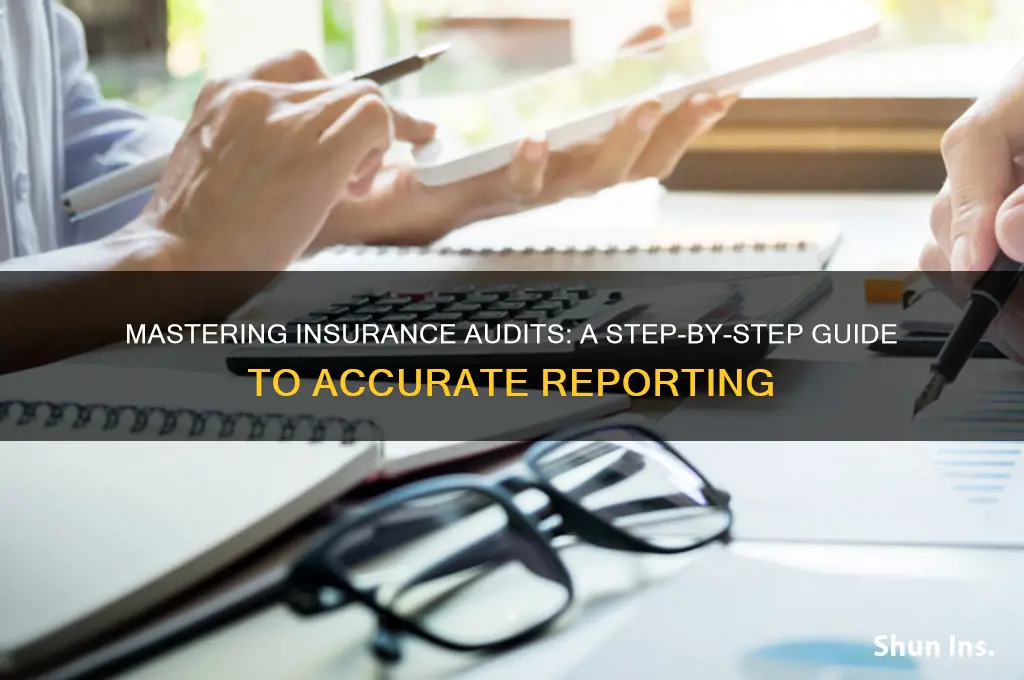 how to fill out an insurance audit