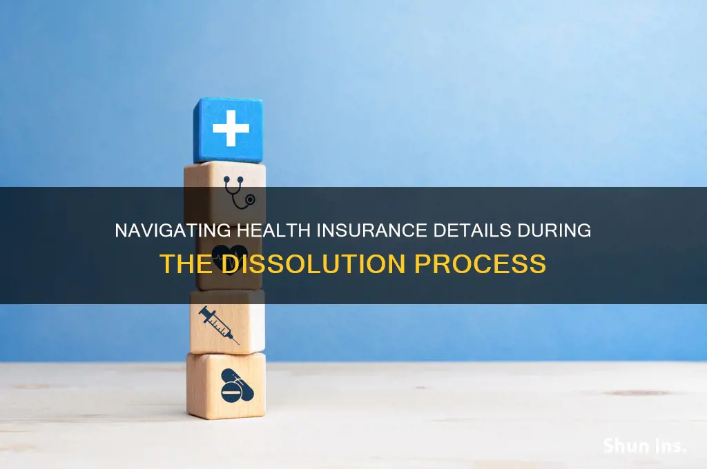 how to fill out health insurance information on dissolution