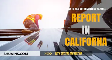Insurance Payroll Reports: California Compliance Guide