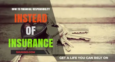 Mastering Financial Responsibility: A Smart Alternative to Traditional Insurance