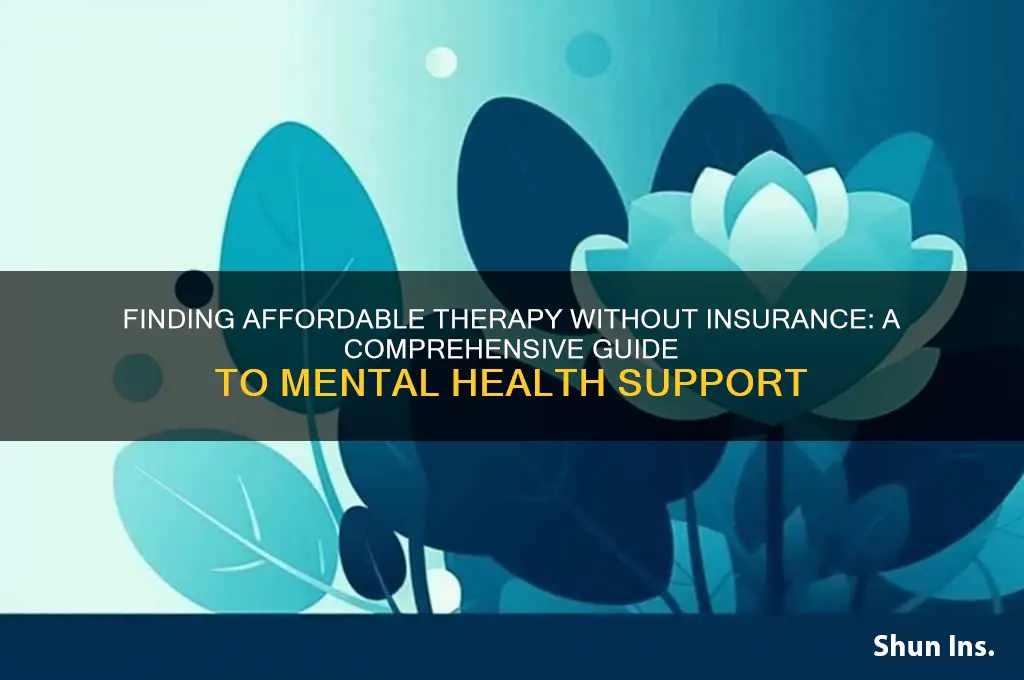 how to find a therapist if no health insurance