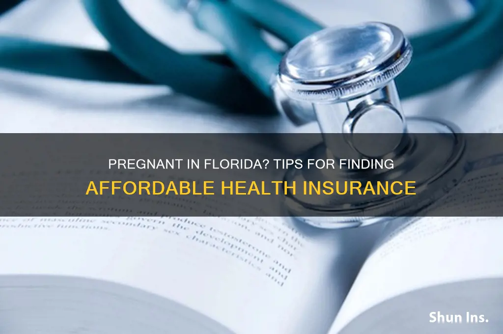 how to find affordable health insurance in florida while pregnant