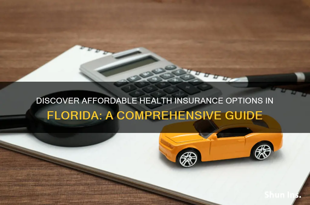 how to find affordable health insurance in florida