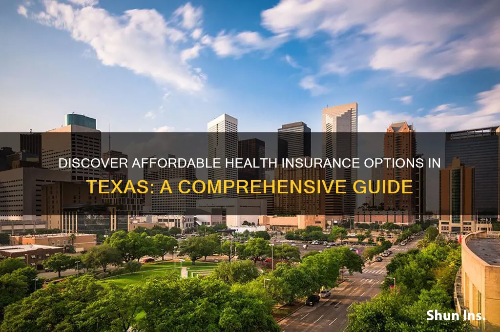 how to find affordable health insurance in texas