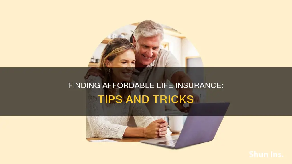 how to find affordable life insurance